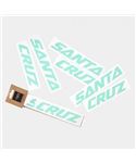 SANTA CRUZ CUSTOM DOWNTUBE DECALL MENTA