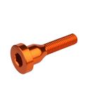 TORNILLO TAPA DIRECCIÓN BURGTEC NARANJA