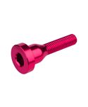 TORNILLO TAPA DIRECCIÓN BURGTEC ROSA