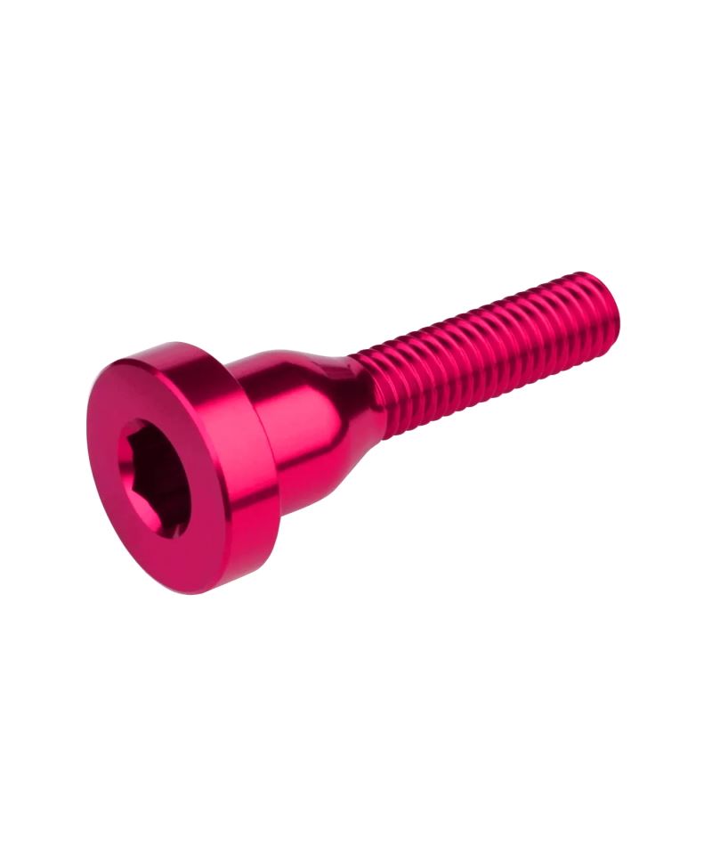 TORNILLO TAPA DIRECCIÓN BURGTEC ROSA