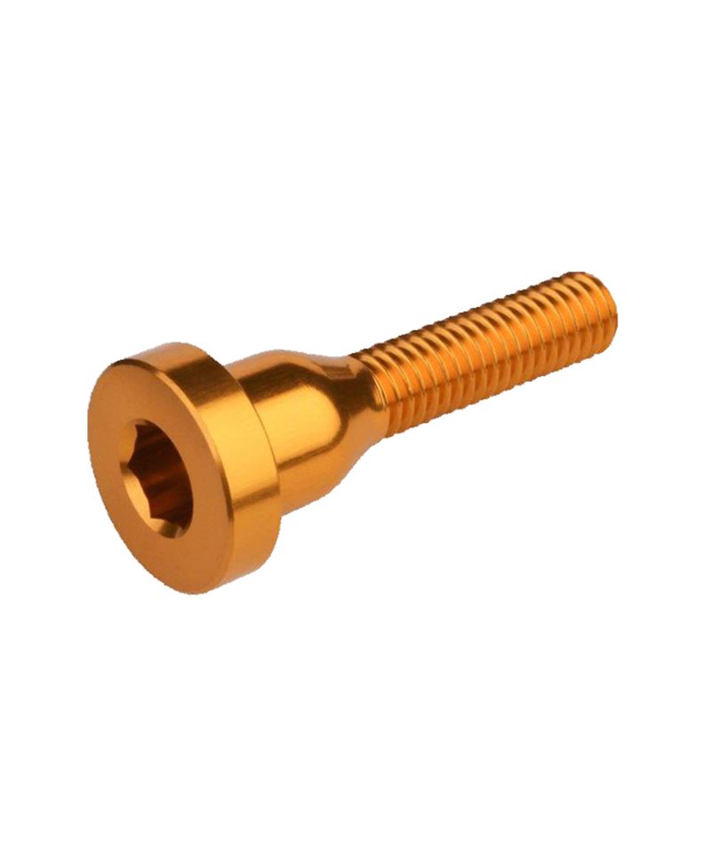 TORNILLO TAPA DIRECCIÓN BURGTEC ORO