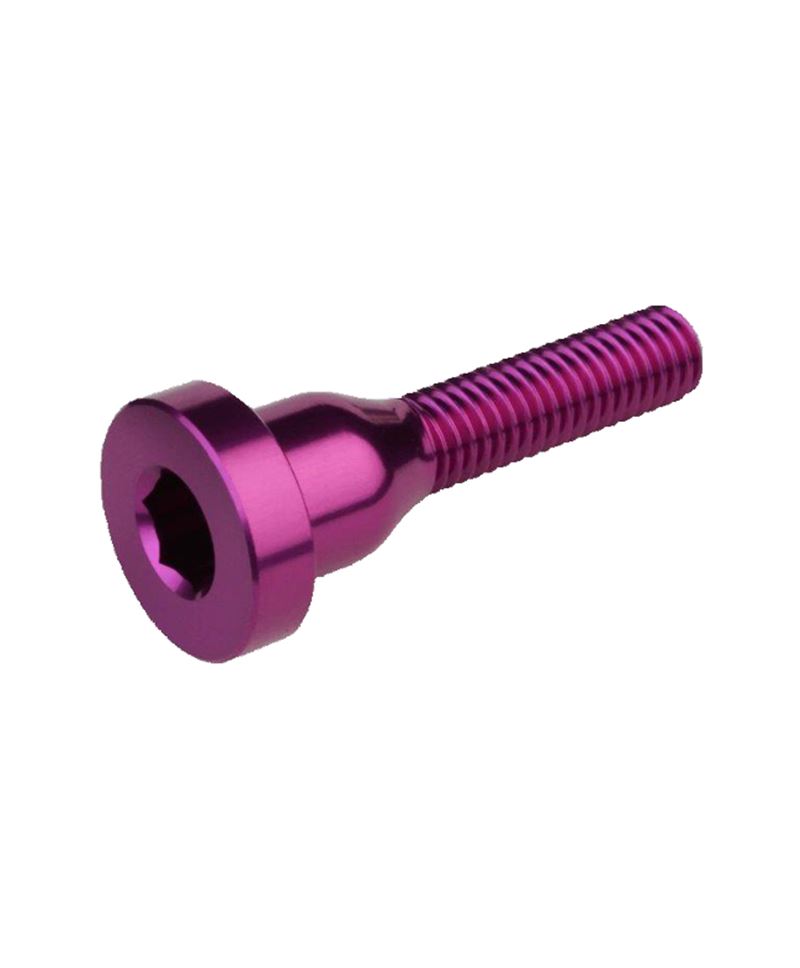 TORNILLO TAPA DIRECCIÓN BURGTEC MORADO