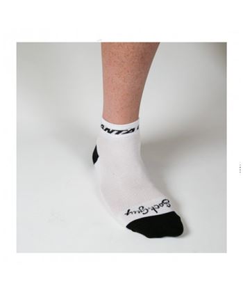 Short socks santacruz new strip logo white