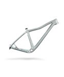 CUADRO IBIS DV9 SILVER LINING 2025