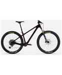 BICICLETA YETI ARC 25 KIT T2 X01 EXC