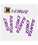 SANTA CRUZ CUSTOM DOWNTUBE DECALL MORADO