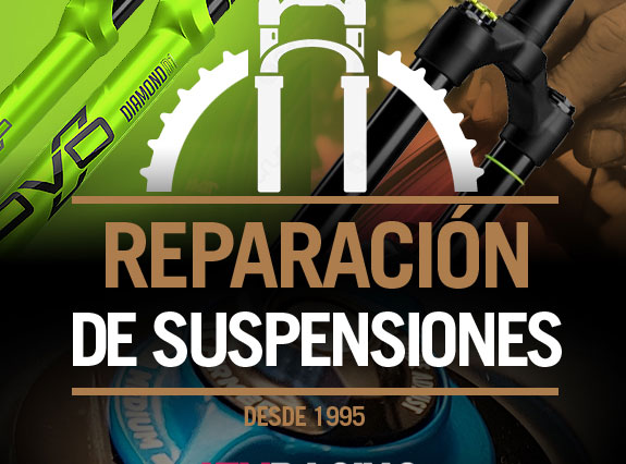 Reparacion de suspensiones